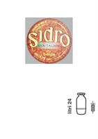 Sidro BALADIN fusto lt.24 Plastica Key keg con sacca