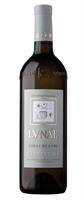 Vermentino Colli di Luni Etichetta Grigia DOC 2024 LVNAE cl.75