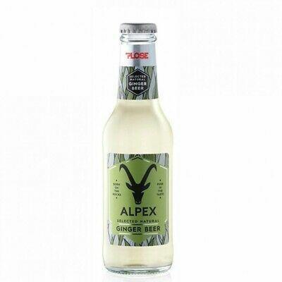 Ginger Beer ALPEX cl.20x24 Vetro Perdere